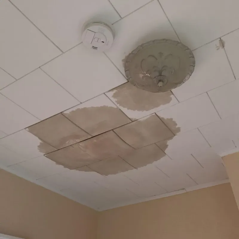 Ceiling Water Damage Repair in Pleasanton, CA